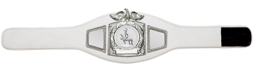 PROEAGLE WRESTLING CHAMPIONSHIP BELT - PROEAGLE/S/WRESTS - AVAILABLE IN 6+ COLOURS PROEAGLE WRESTLING CHAMPIONSHIP BELT - PROEAGLE/S/WRESTS - AVAILABLE IN 6+ COLOURS